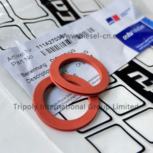 MTU O-ring