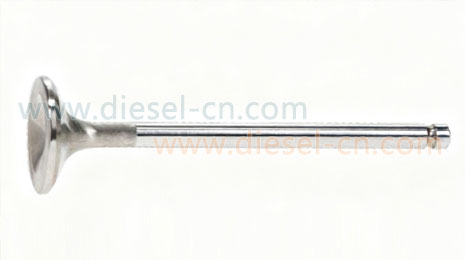 5240530805 - Valve Exhaust