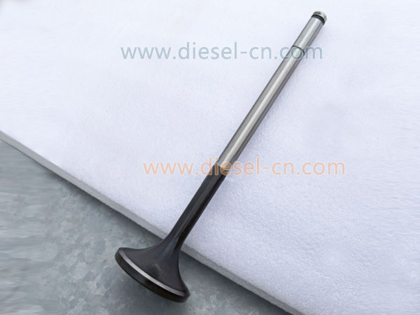 L250-03-004A INTAKE VALVE LB8250ZLD-1 2