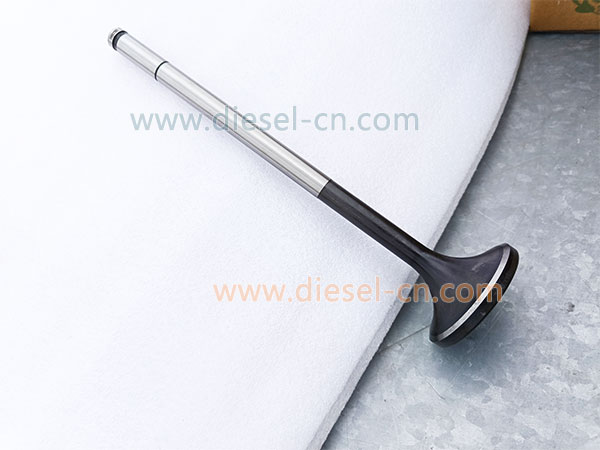 L250-03-004A INTAKE VALVE LB8250ZLD-1