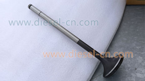 L250-03-004A / INTAKE VALVE