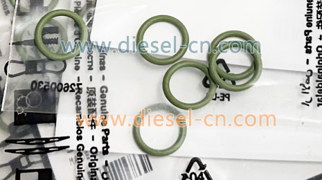 976013 VOLVO PENDA Valve stem seal O-ring