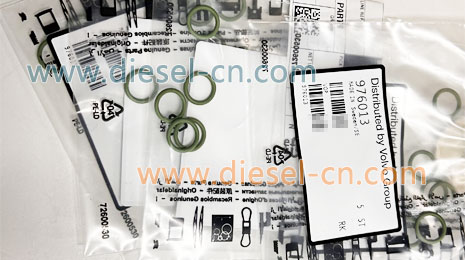 976013 Valve stem seal O-ring