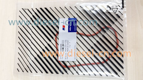 PROFILE GASKET X00034859 - 1