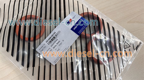 SEAL RING X51699100103