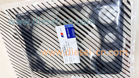 SEALING PLATE FOR CYLINDER HEAD X54404200019