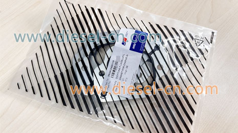 X54412400118 GASKET FOR CHARGE-AIR LINE