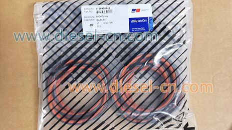 gasket 0129970648