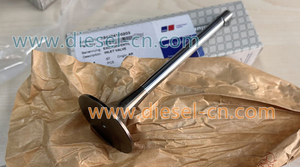 inlet valve X54404100203 - 1