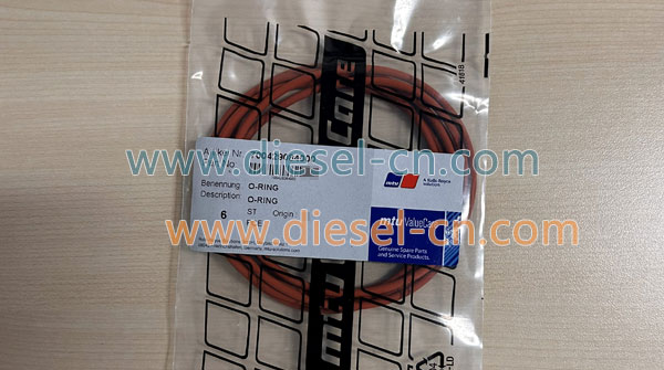 O-ring 700429084000
