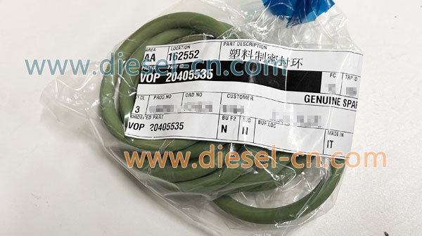 O-RING INTAKE 20405535