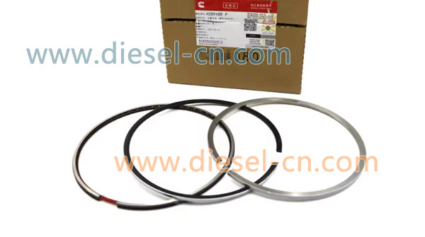 Piston Ring 4089489