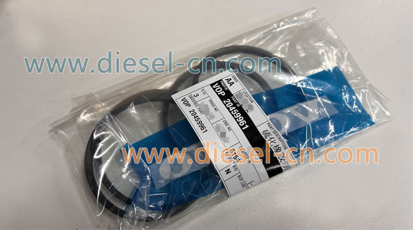 THERMOSTAT RINGN 20459961