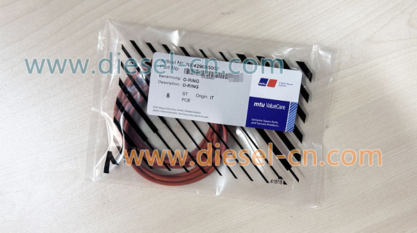 O-Ring 700429065002