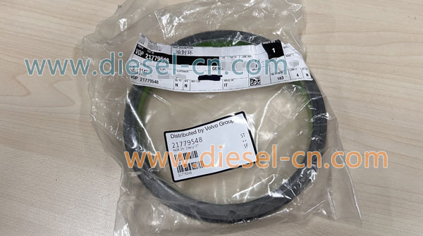 VOLVO PANTA Crankshaft Oil Seal 21779548 (1)