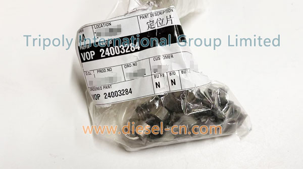 COLLET 24003284 11700345