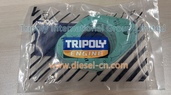 Gasket 271511038001