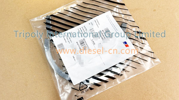 HALF-RING X51614100123 (1)