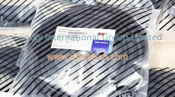5550110259 SEALING RING