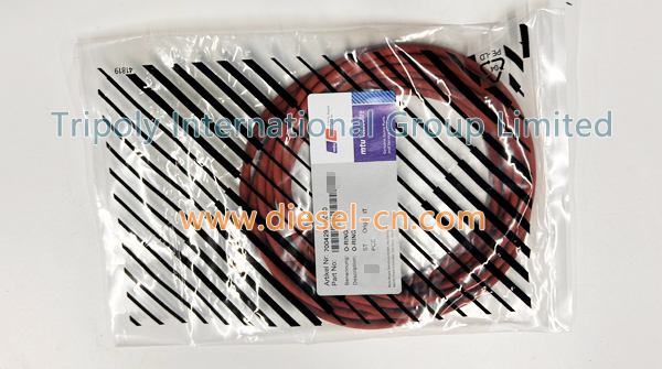O-RING 700429118000
