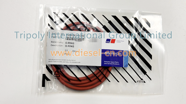 O-ring 700429065000
