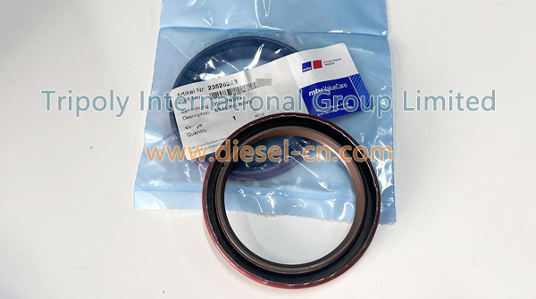 SEALING RING 23526263 (1)