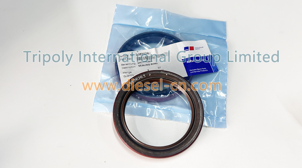 SEALING RING 23526263 (2)