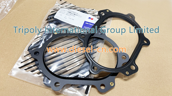 GASKET X52412400110