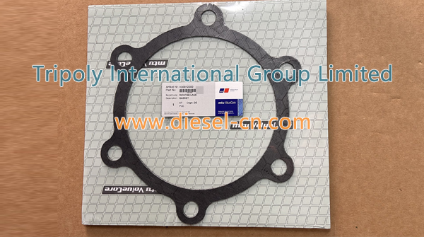 GASKET X00012200