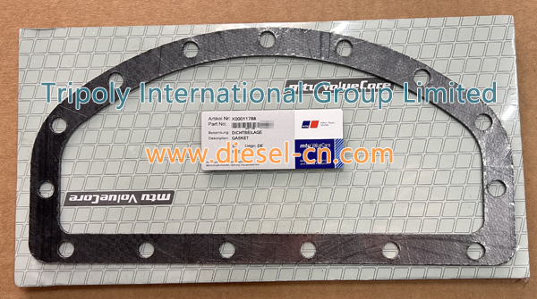 Gasket X00011788