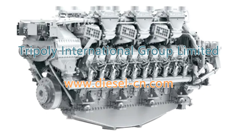 MTU 1163 parts