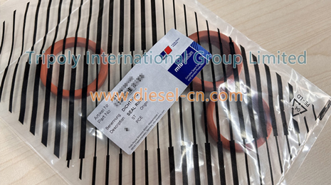 MTU O-ring