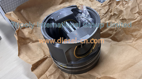 Piston & Ring