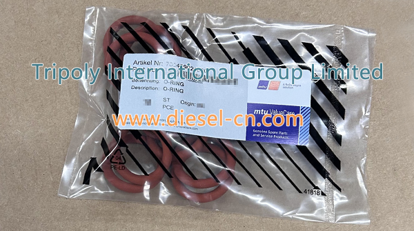 O-RING 700429024000