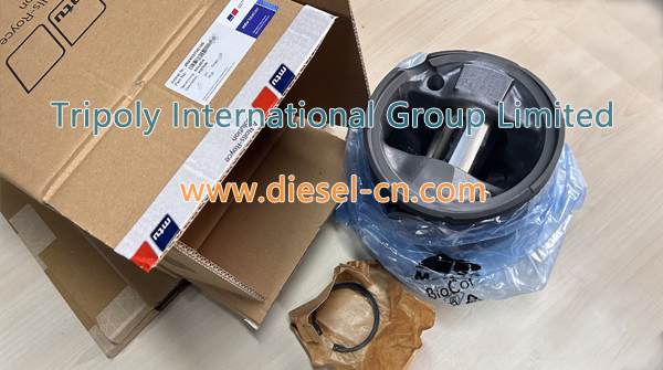 PISTON X52403700195