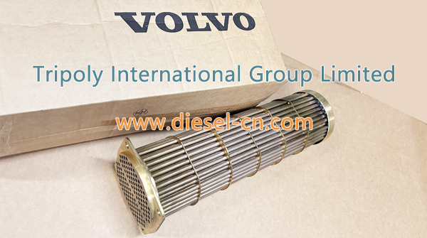 VOLVO Engine Parts Heat Exchanger Insert 3838332.jpg